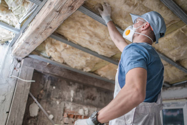 Trusted Troy, MI Insulation Contractor Experts